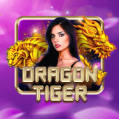 bigwin bet Dragon Tiger